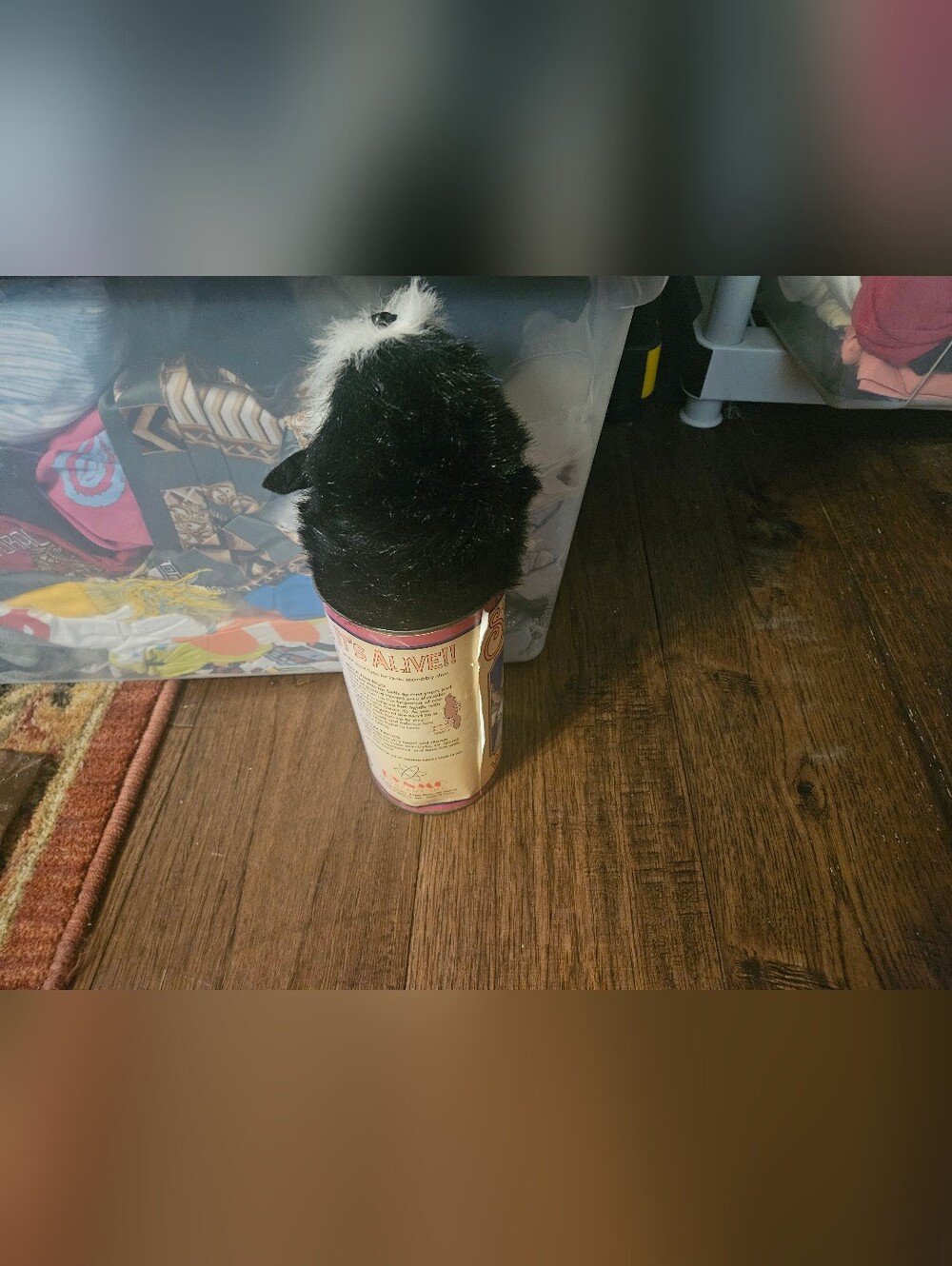 Springer's Wild Things Plush Skunk 1995 No Top To Can Used Condition Cool Toy.